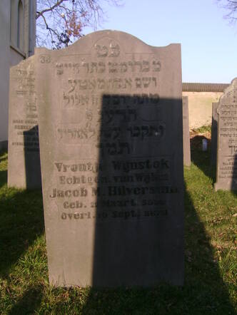 Wijnstok Hilversum Froutje KIF_0981.JPG