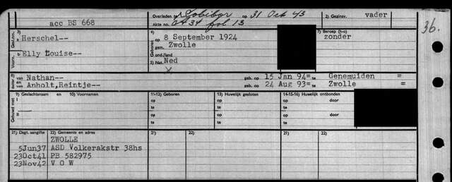 Elly Louise Herschel.png