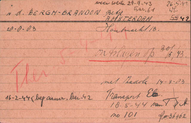 Bergh-Brandon.Arolsen.2.jpg