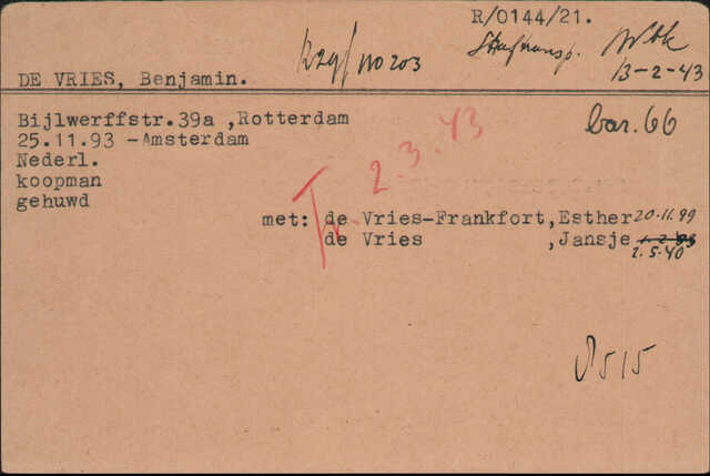 Benjamin de Vries-1.jpeg