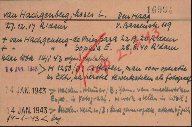 Moses Levi van Hachgenberg -1.jpeg