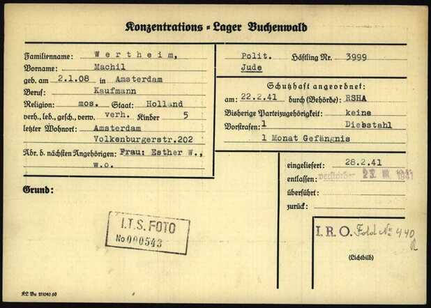 Machil Wertheim, 2-1-1908, krt 1 Buchenwald.jpg