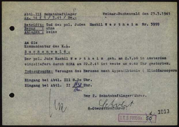Machiel Wertheim Buchenwald.jpeg