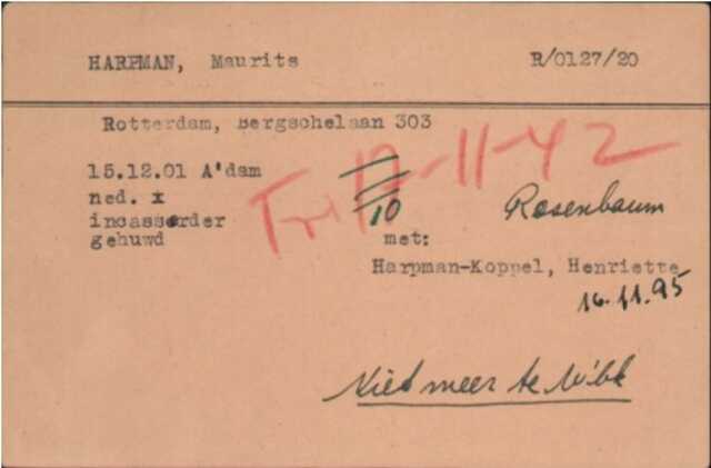 Maurits Harpman, krt J.R..jpg