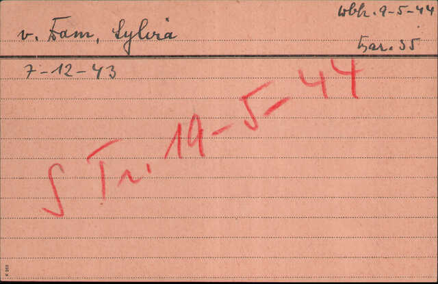 Dam, Sylvia van - JR.jpg