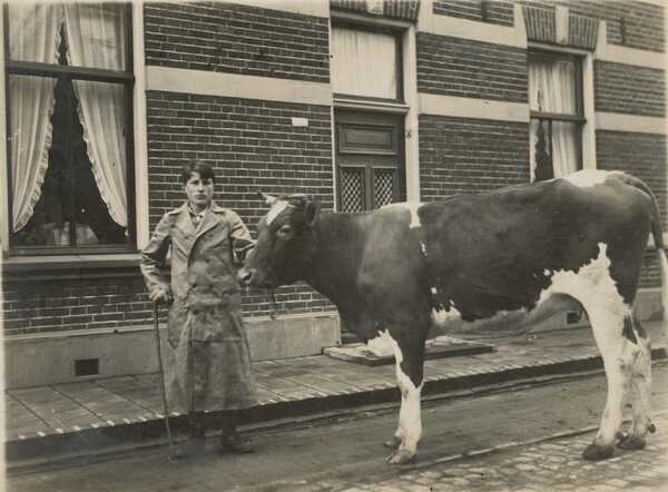 Jonas Heiman Frankenhuis met koe, in de Molenstraat te Haaksbergen, 1941 .png