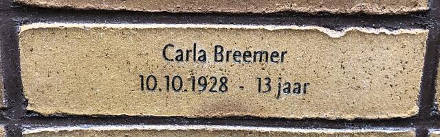 Carla Breemer.JPG