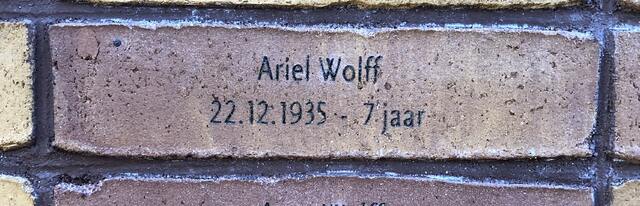 Ariel Wolff.JPG